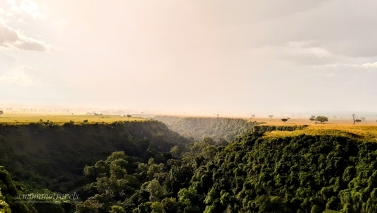 Nature Image 3