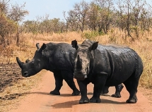Akagera National Park